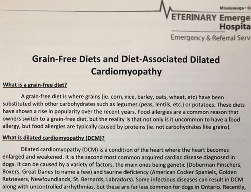 GRAIN FREE DIETS AND DCM