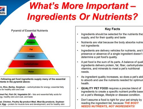 PET NUTRITION: THINK ABOUT NUTRIENTS NOT JUST INGREDIENTS